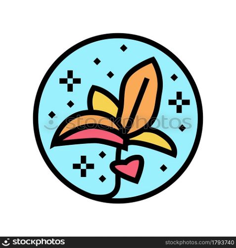 flower boho color icon vector. flower boho sign. isolated symbol illustration. flower boho color icon vector illustration