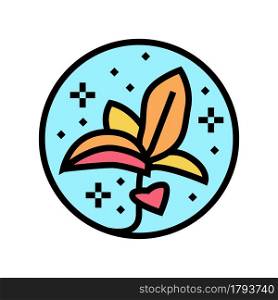 flower boho color icon vector. flower boho sign. isolated symbol illustration. flower boho color icon vector illustration
