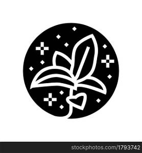 flower boho glyph icon vector. flower boho sign. isolated contour symbol black illustration. flower boho glyph icon vector illustration