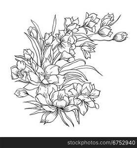 Flower bouquet, painted by hand. Vector illustration.