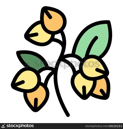 Flower buckwheat icon outline vector. Cereal plant. Nature organic color flat. Flower buckwheat icon vector flat