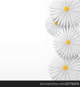 flower chamomile background