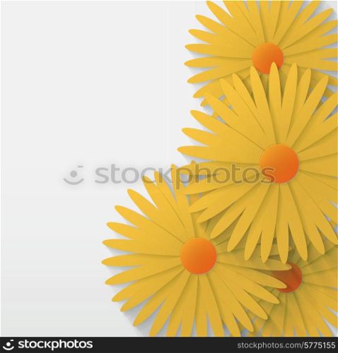 flower chamomile background