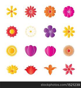 Flower Colorful Icons