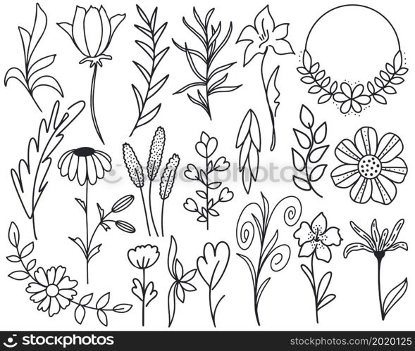 Flower doodle set vector illustration. Collection of isolated botanical elements for design cards and invitations. Floral and leafy decorations hand drawn graphics. Flower doodle set vector illustration