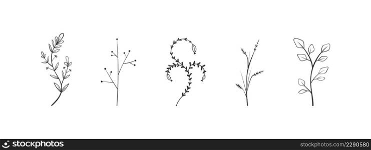 Flower elements. Twigs with leaves and flowers. Hand drawn floral elements. Vector illustration