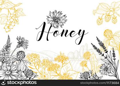Flower honey vector hand drawn banner template. Natural homemade product poster layout with lettering. Wildflowers sketch on rural village landscape background. Organic food packaging design. Honey vector hand drawn banner template