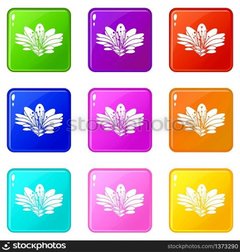 Flower icons set 9 color collection isolated on white for any design. Flower icons set 9 color collection