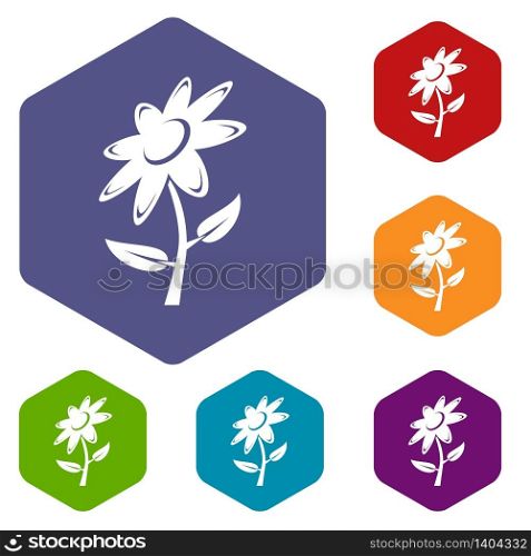 Flower icons vector colorful hexahedron set collection isolated on white. Flower icons vector hexahedron