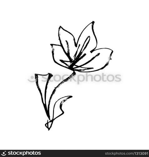 Flower ink paint hand drawn and Japanese calligraphy art style, vector isolated line design. Japanese flower, plum blossom or Chinese apricot meihua petals decoration with ink or pencil grunge texture. Japanese flower blossom, hand drawn ink art