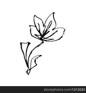 Flower ink paint hand drawn and Japanese calligraphy art style, vector isolated line design. Japanese flower, plum blossom or Chinese apricot meihua petals decoration with ink or pencil grunge texture. Japanese flower blossom, hand drawn ink art