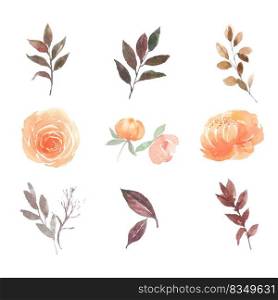 Flower loose watercolor set design peony, rose on white background for decorative use.