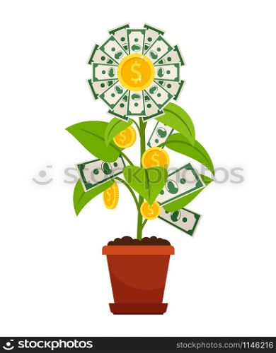 Flower money isolated on white background. Investment finance growth investment concept. Flower money investment isolated on white background
