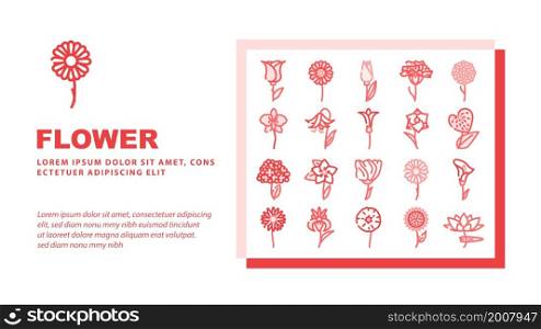 Flower Natural Aromatic Plant Landing Web Page Header Banner Template Vector Rose And Iris, Hydrangea And Carnation, Chrysanthemum And Lisianthus Aroma Blossom Flower Illustration. Flower Natural Aromatic Plant Landing Header Vector