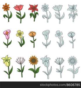 Flower nature elements decoration vector illustration