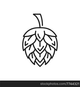 Flower of hope plant isolated beer ingredient thin line icon. Vector german brewing industry product, infusion, tincture hop outline. Humulus flowering plant, herbal medicine seed cones or strobiles. Hop plant flower German beer drink ingredient sign
