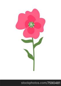 Flower of pink color vector, isolated icon, botanical decoration for special day. Present for girl or woman, decoration, floral with leaves and blooming. Pink Flower on Thin Stable, Flora Decoration Icon