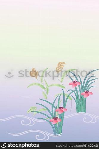 flower pattern