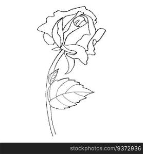 Flower rose. Hand drawn bud with leaf. Vector illustration. linear plant for design, decor and decoration