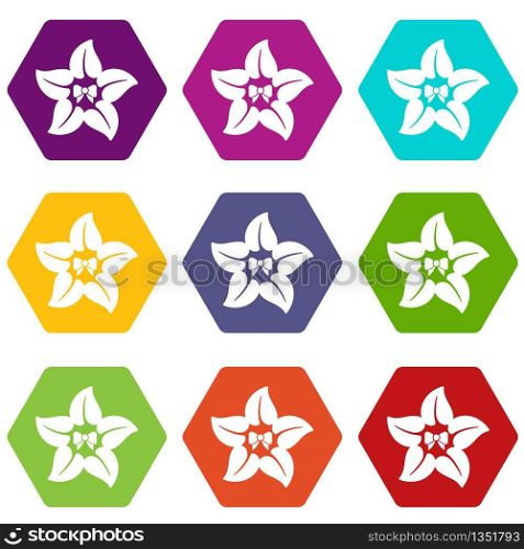Flower star icons 9 set coloful isolated on white for web. Flower star icons set 9 vector