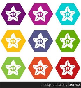Flower star icons 9 set coloful isolated on white for web. Flower star icons set 9 vector