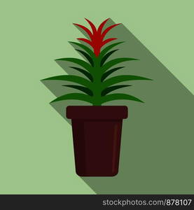 Flower succulent pot icon. Flat illustration of flower succulent pot vector icon for web design. Flower succulent pot icon, flat style