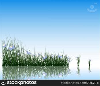 Flower with grass on water surface with reflection. EPS 10 vector illustration with transparency.
