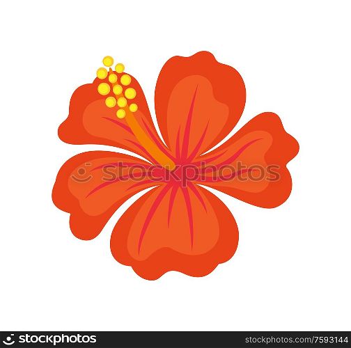 Flower with pollen, blossom closeup, postcard decorated by bloom plant with red petals. Element of bouquet, design paper card with botany object vector. Bloom Plant with Petals, Flower with Pollen Vector