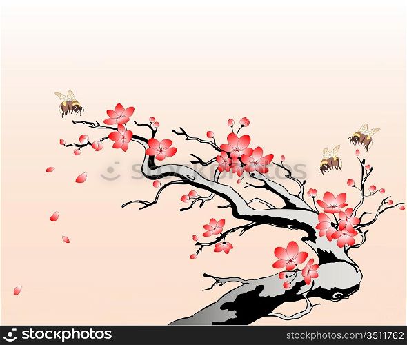 flowering cherry branch with flying bees