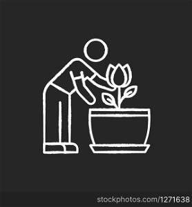 Flowering houseplant chalk white icon on black background. Growing blooming plant. Indoor gardening. Taking care of flower. Planting. Thriving domestic plant. Isolated vector chalkboard illustration
