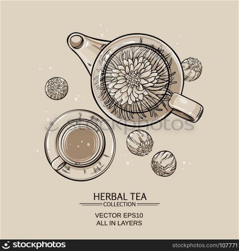 flowering tea. Vector Illustration with flowering tea in teapot and a cup