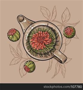 flowering tea. Vector Illustration with flowering tea in teapot on brown background