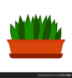Flowerpot floral gardening decorative element vector icon. Green plant house flat illustration interior office vase
