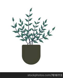 Flowerpot with growing plant in soil vector, isolated flower with foliage and branches. Botany flora for home decoration, potted plantation, greenhouse. House Plant Reminding Tree, Shrubs in Flowerpot