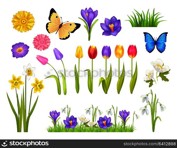 Flowers and butterflies collection, floral elements and decoration, grass and plants, spring time, vector illustration isolated on white background. Flowers and Butterflies Set Vector Illustration