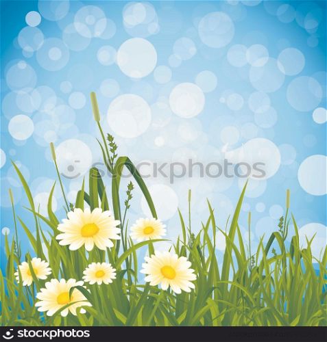 Flowers and Grass