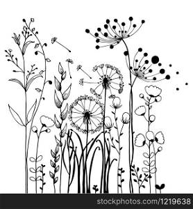 Flowers and Grass on White Collection. Rustic colorful meadow growth illustration set.