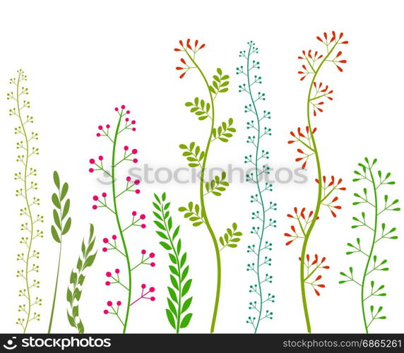 Flowers and Grass on White Grassland Collection Vector Image