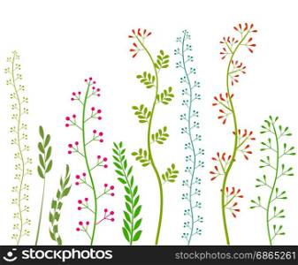 Flowers and Grass on White Grassland Collection Vector Image