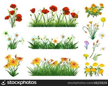 Flowers and grass set of vector elements. Nature and ecology