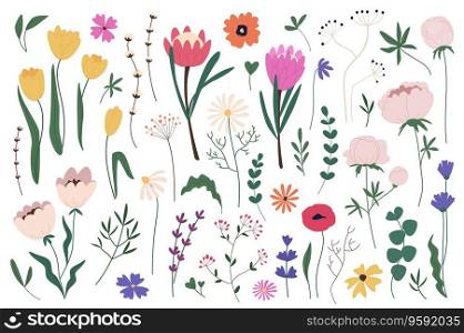 Flowers and herbs mega set graphic elements in flat design. Bundle of abstract wildflowers, peony, pop, tulip and other spring blossoms, wild plants with leaves. Vector illustration isolated objects. Flowers and Herbs Vector Set