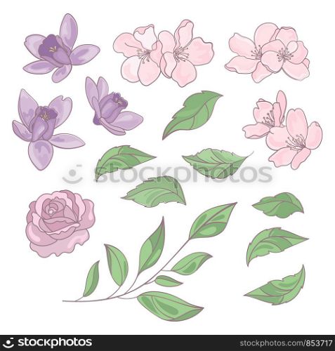 FLOWERS AND LEAVES Floral Clip Art Vector Illustration Set