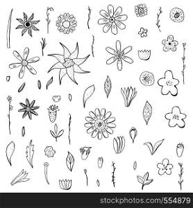 Flowers and leaves set. Hand drawn style sketch objects collection. Vector ilustration.
