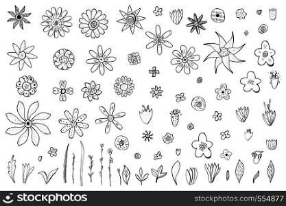 Flowers and leaves sketch set. Collection of hand drawn style objects. Vector ilustration.