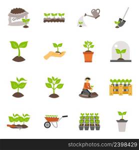 Flowers and plants seedling process flat icons set isolated vector illustration. Seedling Flat Icons Set