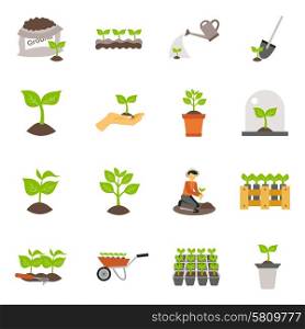 Flowers and plants seedling process flat icons set isolated vector illustration. Seedling Flat Icons Set