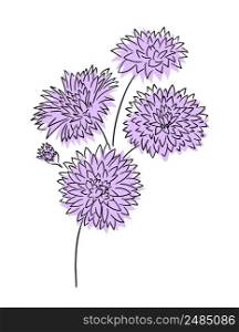Flowers doodle. Spring botanical vector illustration.