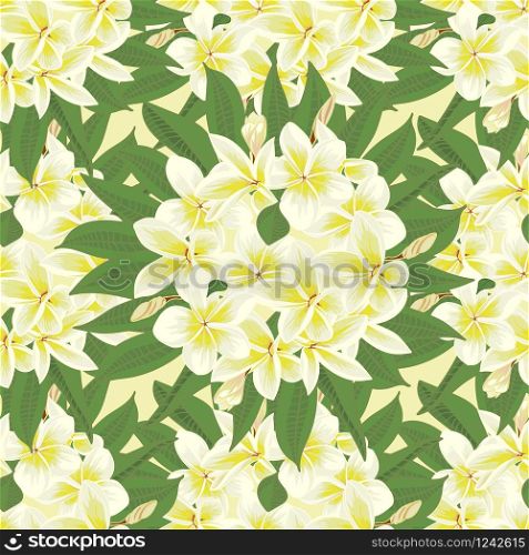 Flowers frangipani seamless background with leafs in realistic hand-drawn style. Vector illustration.. Flowers frangipani seamless background with leafs in realistic hand-drawn style