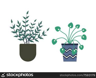 Flowers growing in pots vector, isolated set of flowerpots decorated with stripes and zig zags, orangery with foliage and botanic variety of houseplants. Greenhouse Plants in Pots, Orangery Flora Flowers