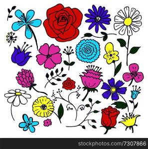 Flowers hand drawn elements, blooming roses and camomiles, blue-bonnet and bellflower, flourishing herbs with leaves isolated on vector illustration. Flowers Hand Drawn Elements Vector Illustration